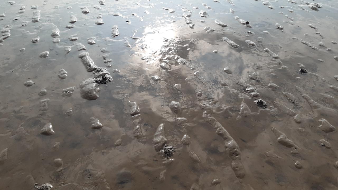 The sky reflected in the water on the mudflats