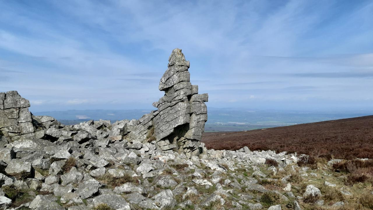 An outcrop at Stiperstones.