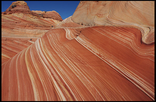 Strata - Coyote Buttes, Arizona